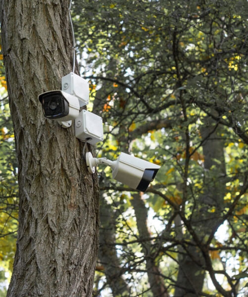 Hogares más seguros: aumenta la demanda de instalación de cámaras de vigilancia