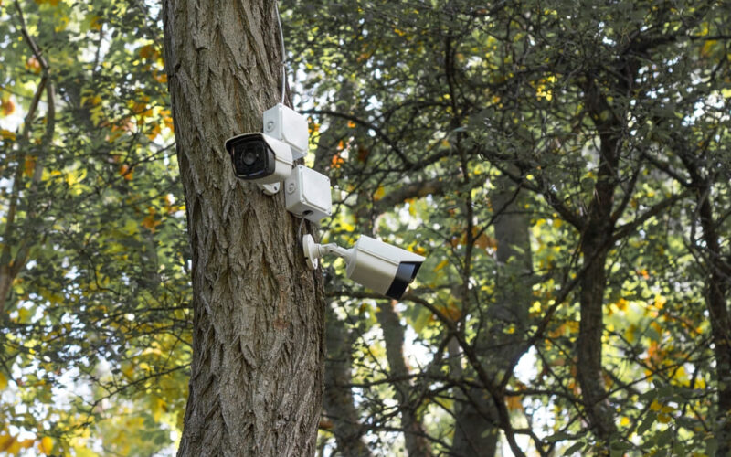 Hogares más seguros: aumenta la demanda de instalación de cámaras de vigilancia